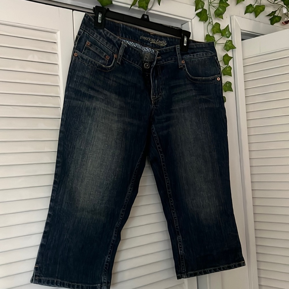 Vintage American Eagle Bermuda Shorts